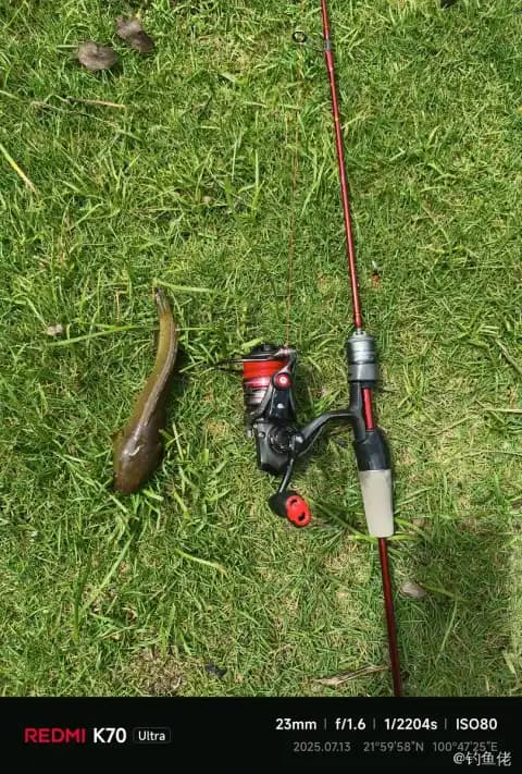宽额鳢钓获 西双版纳傣族自治州 0.3kg
