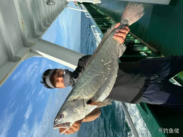 日本白姑鱼钓获 杭州市 7.4kg