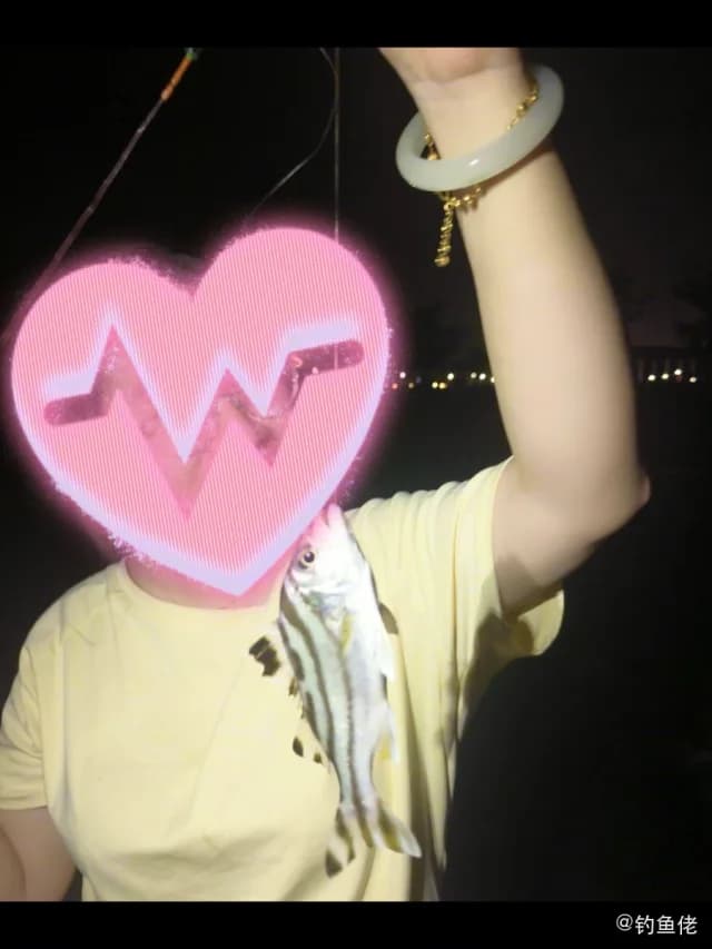 三线矶鲈钓获 珠海市 0.2kg