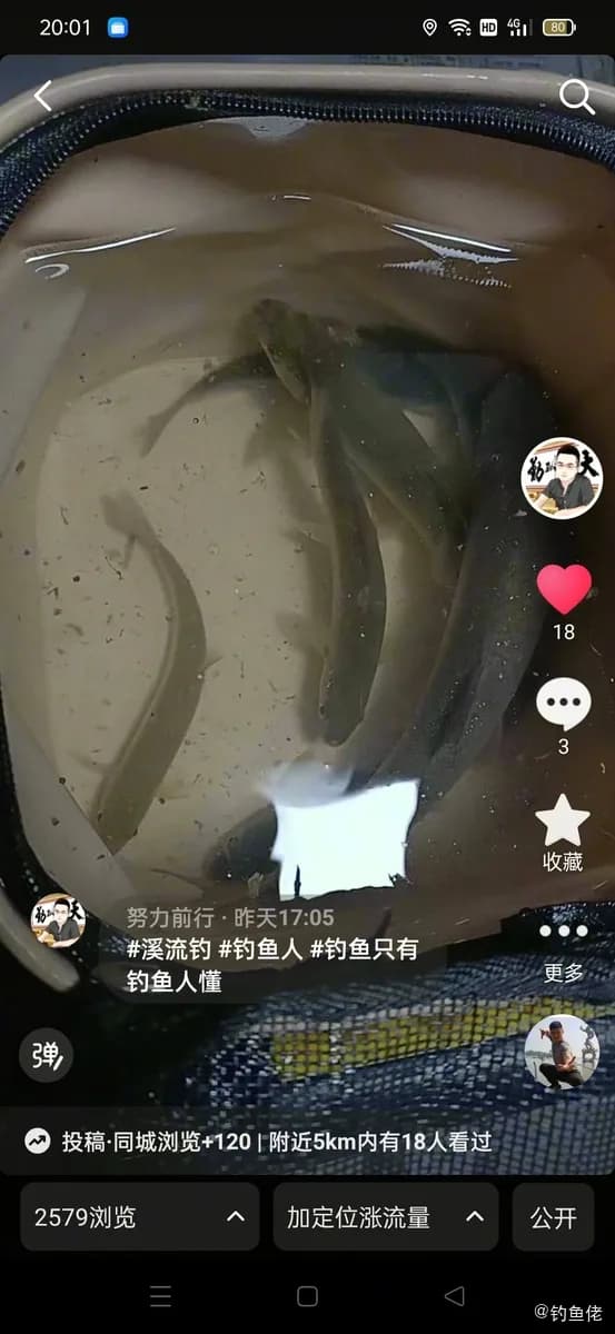 条纹毛足鲈钓获 阿坝藏族羌族自治州 3.4kg