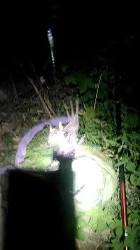 图丽鱼钓获 西安市 0.5kg