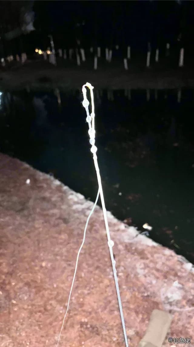 线翎电鳗钓获 盐城市 0.4kg