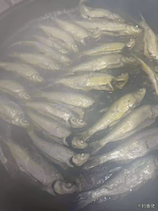 小黄鱼钓获 连云港市 0.8kg
