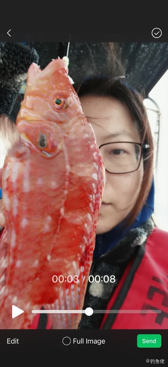 长鳍高体盔鱼钓获 深圳市 0.8kg